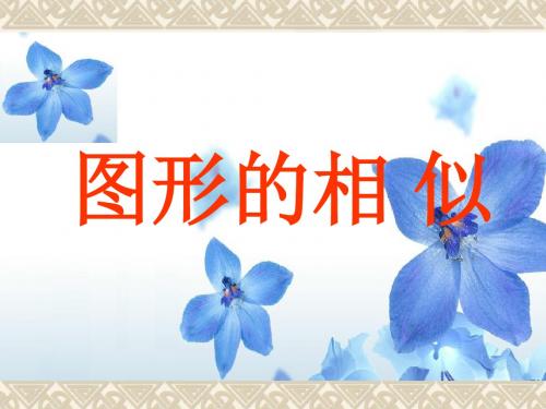 相似图形复习(1)