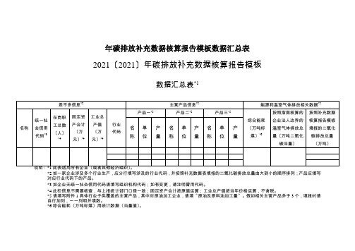 年碳排放补充数据核算报告模板数据汇总表