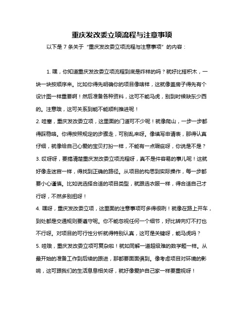 重庆发改委立项流程与注意事项