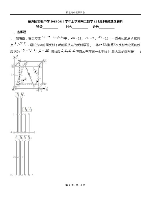 东洲区实验中学2018-2019学年上学期高二数学12月月考试题含解析