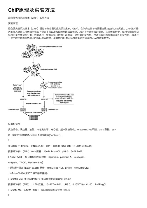 ChIP原理及实验方法