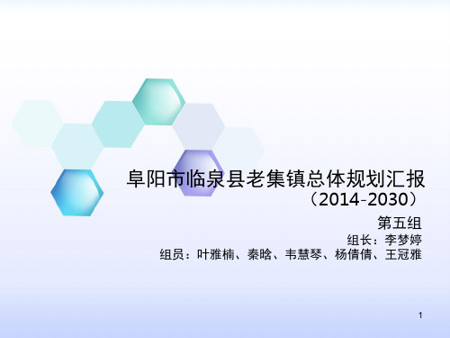 老集镇总体规划汇报参考课件