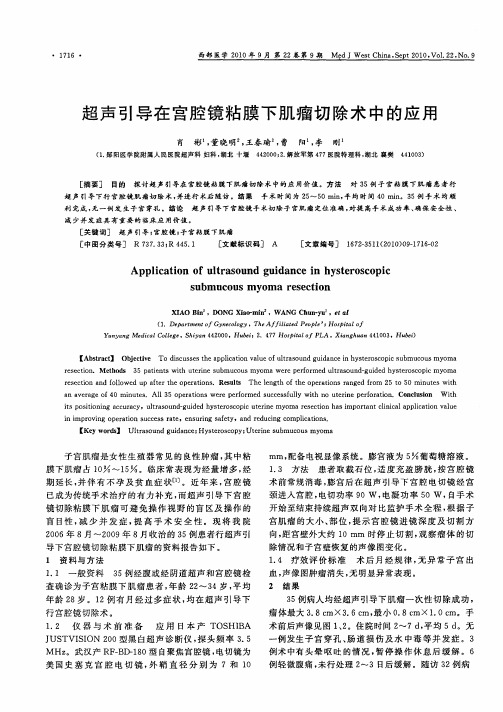 超声引导在宫腔镜粘膜下肌瘤切除术中的应用