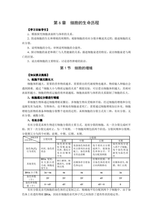 生物必修一第6章 细胞的生命历程 练习题