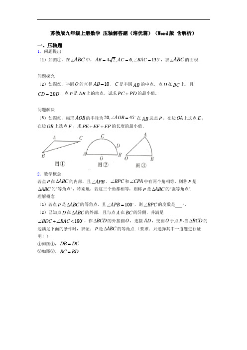 苏教版九年级上册数学 压轴解答题(培优篇)(Word版 含解析)