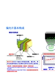 IPS LCD的偏光片材质和原理介绍