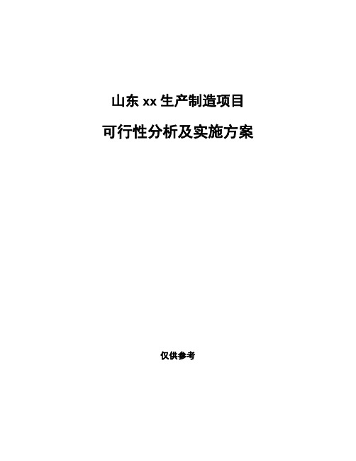 山东xx生产制造项目可行性分析及实施方案