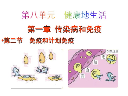 人教版生物八下8. 免疫与计划免疫 课件