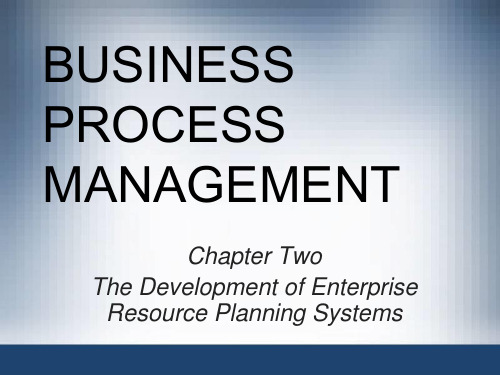 Chapter02 ERP Development