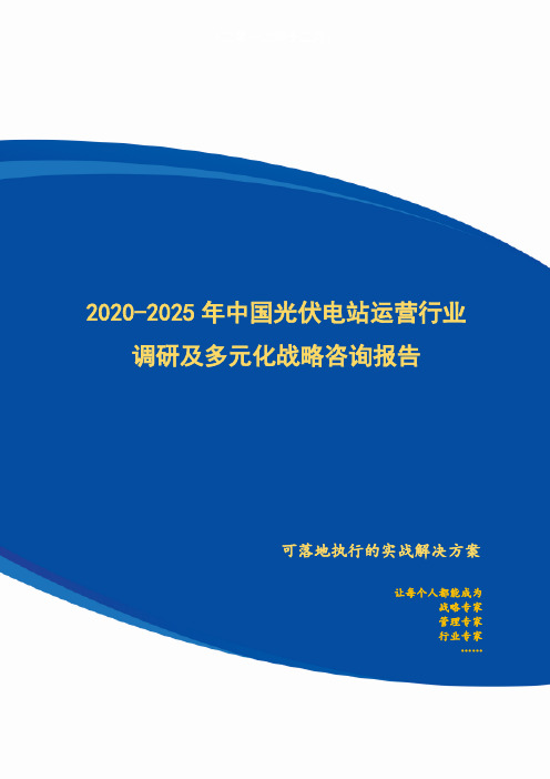 2020-2025年中国光伏电站运营行业调研及多元化战略咨询报告