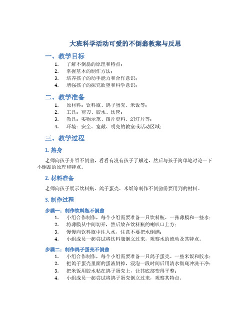 大班科学活动可爱的不倒翁教案与反思