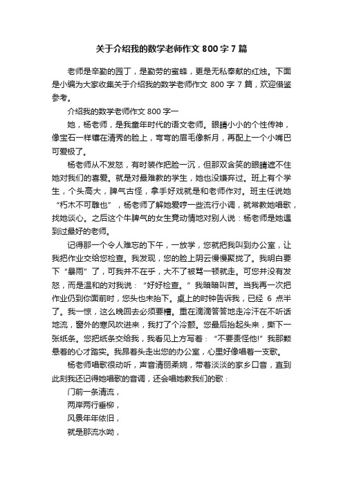 关于介绍我的数学老师作文800字7篇