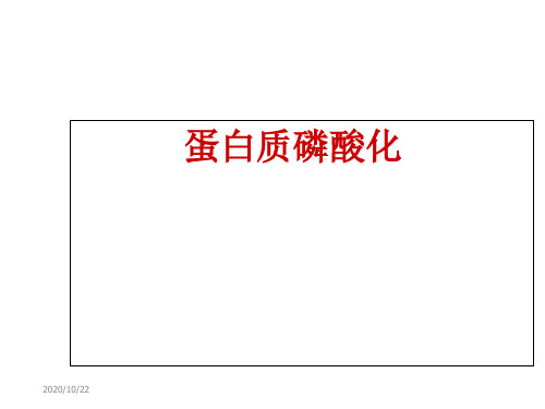 (分子生物学本科生课件)蛋白质磷酸化-2014