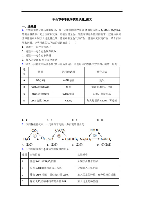 中山市中考化学模拟试题_图文