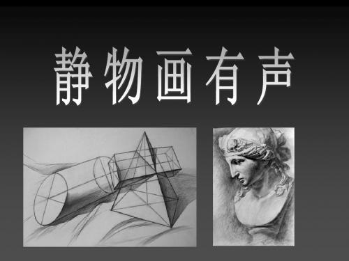 初级中学初中美术课件：《静物画有声》(共14张PPT)