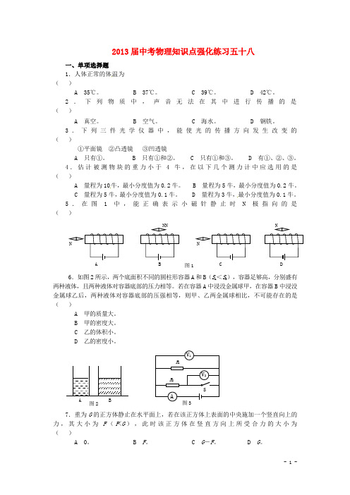 2013届中考物理知识点强化练习58 新人教版