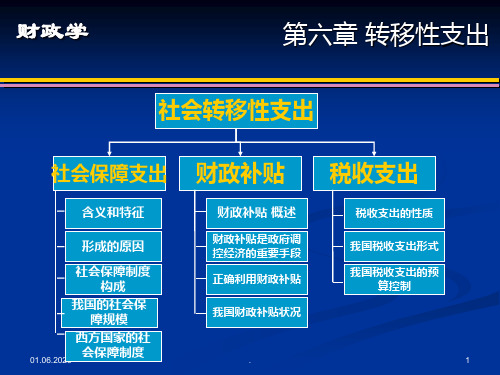 财政学六PPT课件