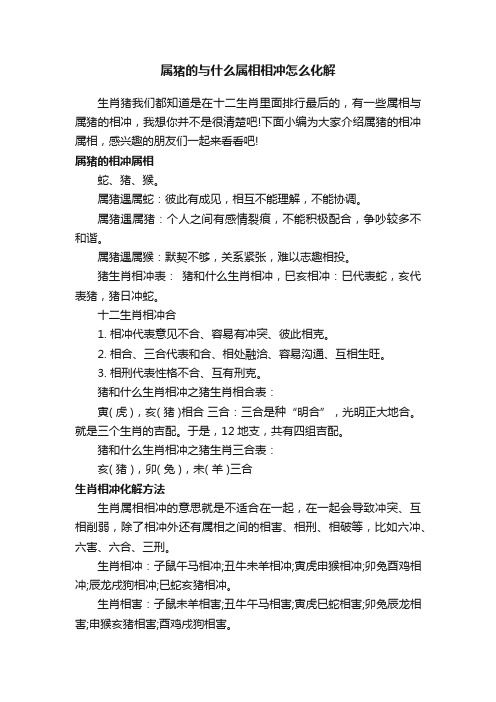 属猪的与什么属相相冲怎么化解