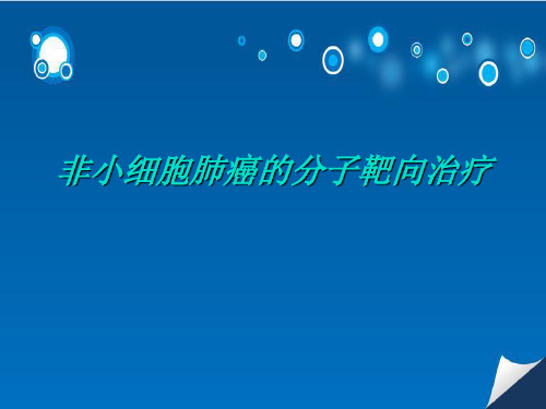 肺癌靶向治疗PPT演示课件