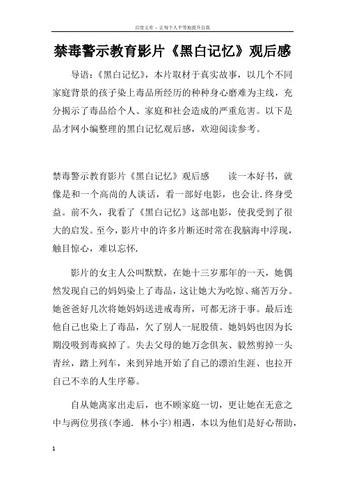 禁毒警示教育影片黑白记忆观后感