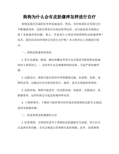 狗狗为什么会有皮肤瘙痒怎样进行自疗