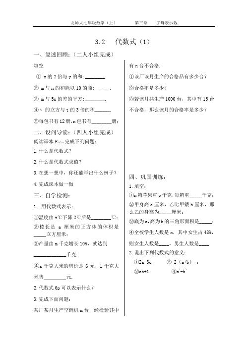 初中数学北师大版3.2代数式(1)