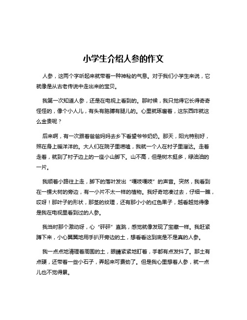 小学生介绍人参的作文