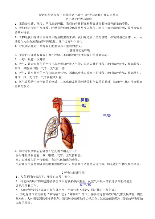 新教科版四年级上册科学第二单元《呼吸与消化》知识点整理