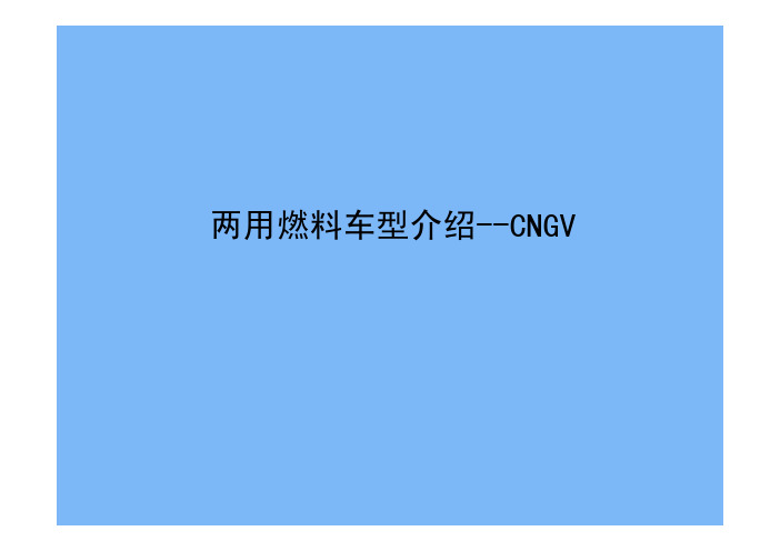 CNG系统介绍