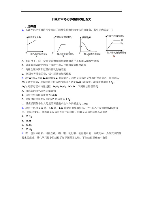 日照市中考化学模拟试题_图文