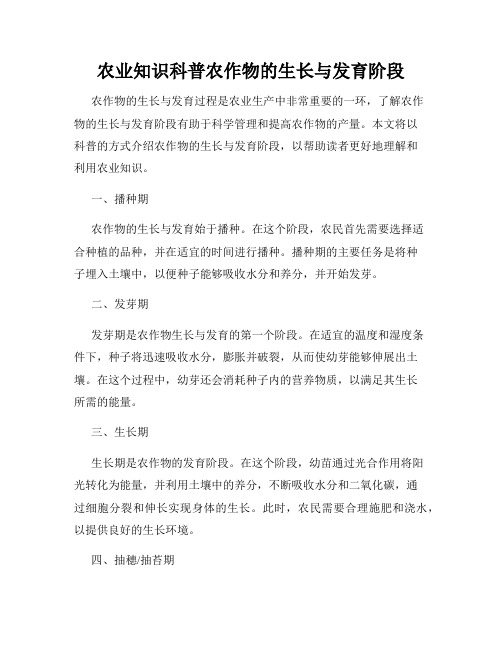 农业知识科普农作物的生长与发育阶段