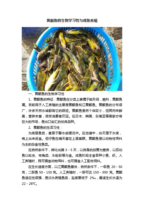 黄颡鱼的生物学习性与成鱼养殖