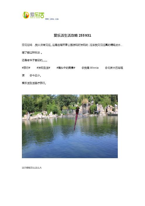 爱乐活生活攻略255931
