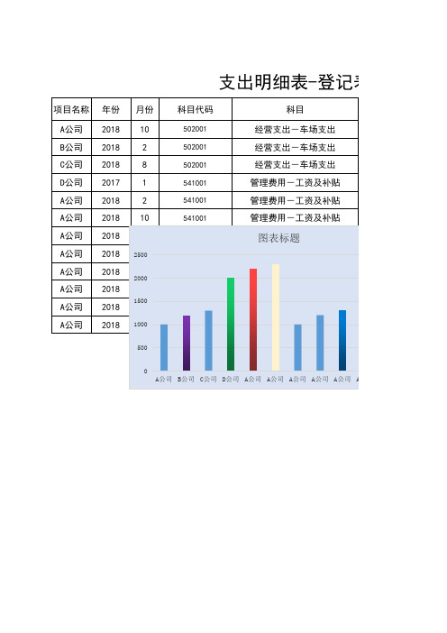 支出明细表-登记表