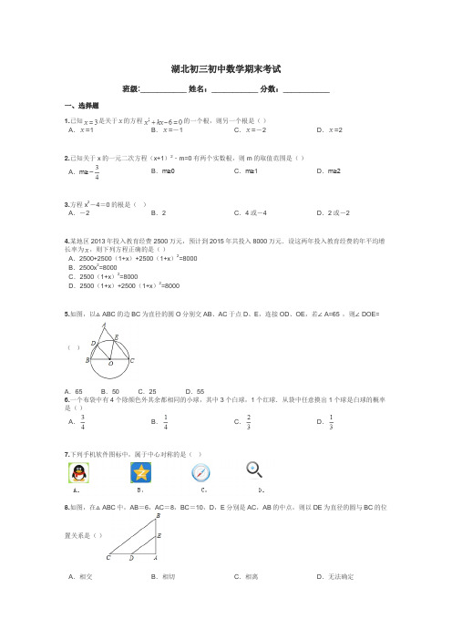 湖北初三初中数学期末考试带答案解析
