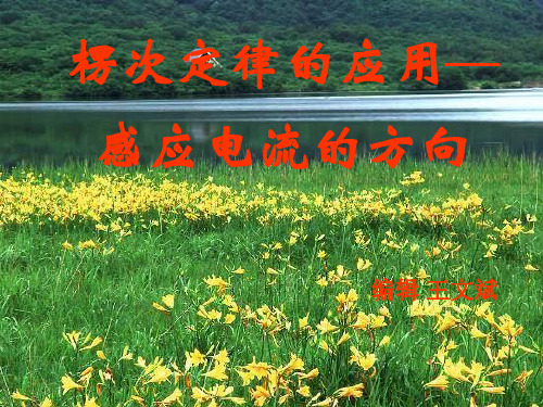 高二物理椤次定律的应用3