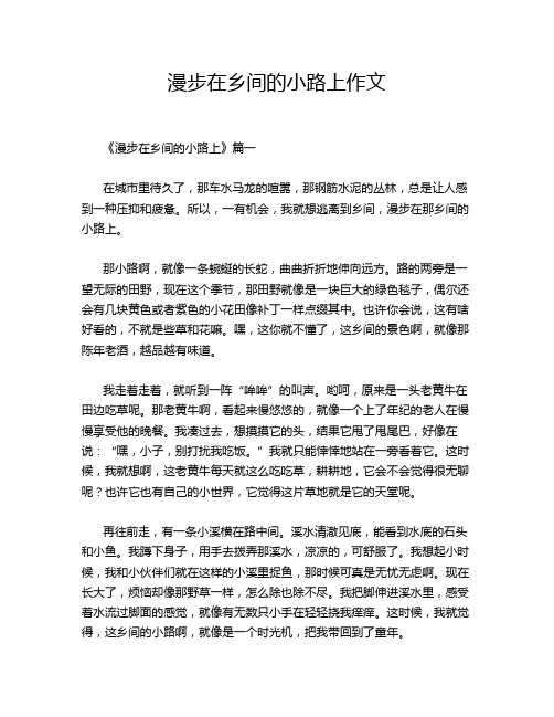 漫步在乡间的小路上作文