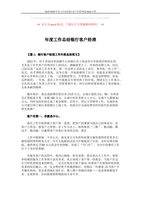 2018-2019-年度工作总结银行客户经理-精选word文档 (11页)
