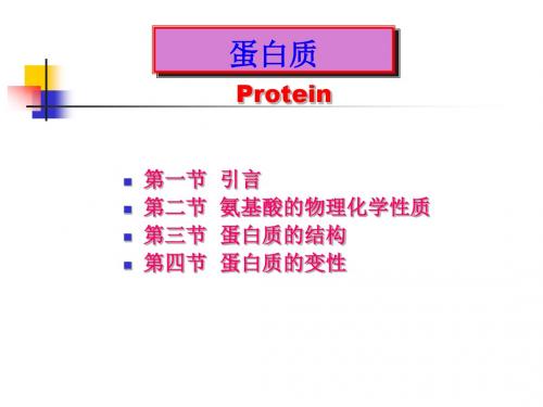 食品化学蛋白质