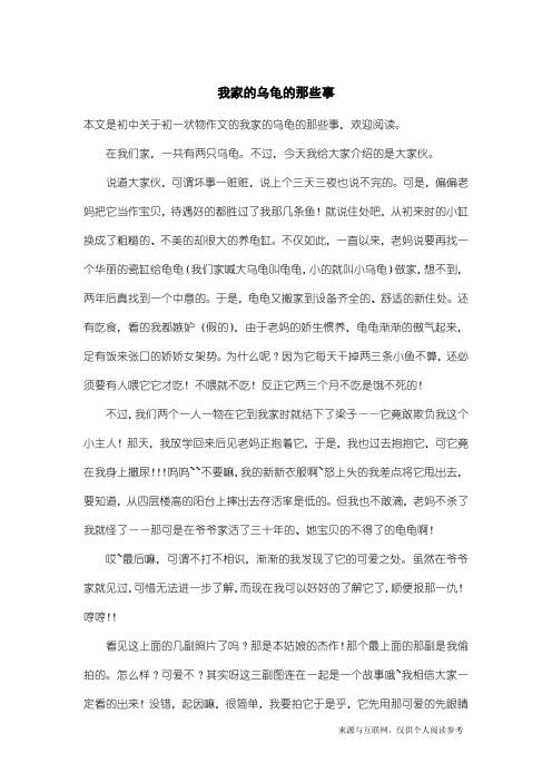 初一状物作文：我家的乌龟的那些事