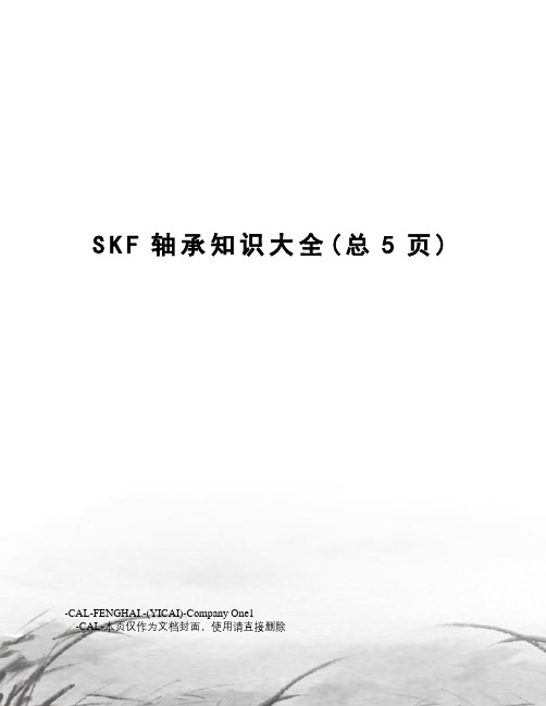 SKF轴承知识大全