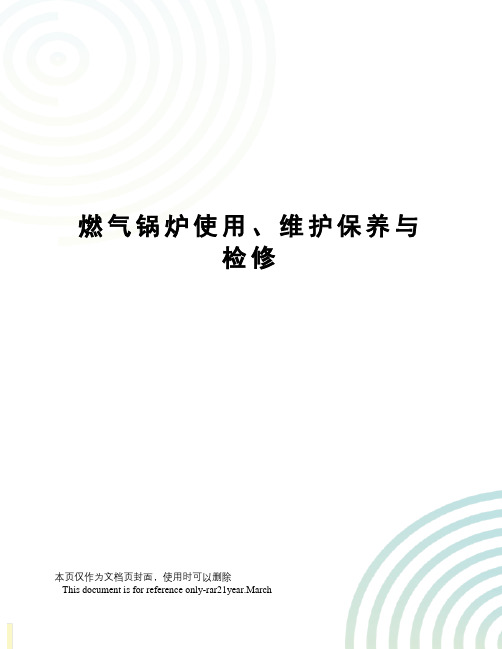 燃气锅炉使用、维护保养与检修