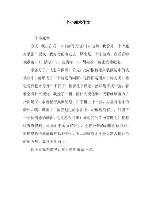 一个小魔术作文