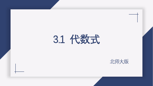 3.1代数式(第1课时)课件2024-2025学年北师大版七年级数学上册