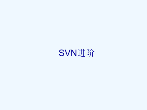 SVN客户端操作总结