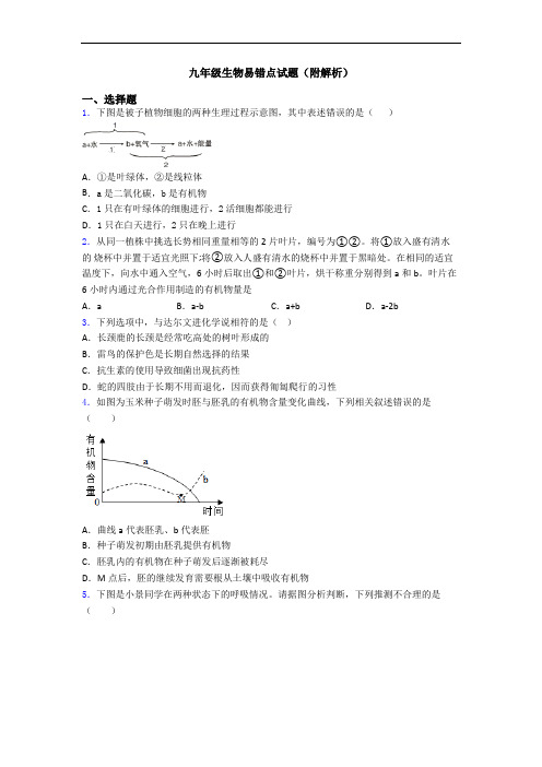 九年级生物易错点试题(附解析)