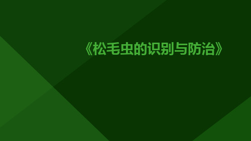 松毛虫的识别与防治