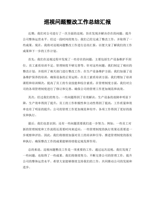 巡视问题整改工作总结汇报