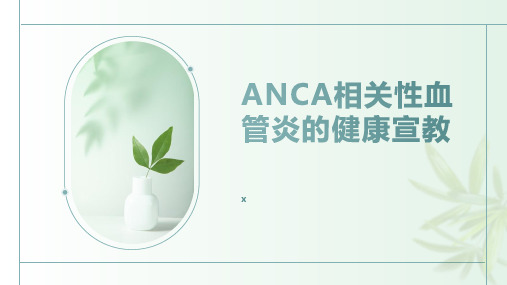 ANCA相关性血管炎的健康宣教