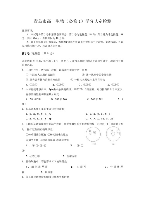 青岛市13年高一生物必修一学分认定(无答案)